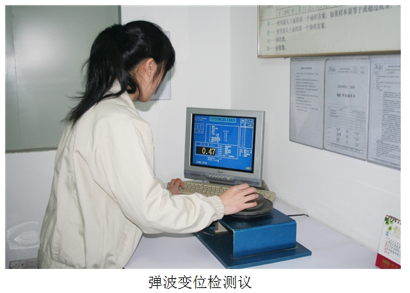 Elastic wave displacement detection Yee