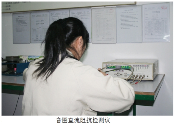 Voice coil DC resistance detection Yee